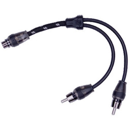 Rockford Fosgate RFITY-1F