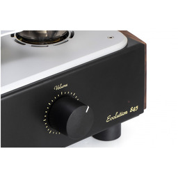 Mastersound Monoblock 300B