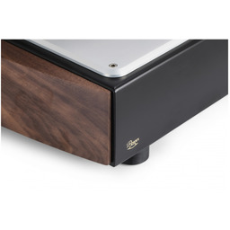 MasterSound Monoblock 845