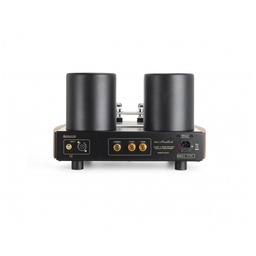 MasterSound Monoblock 845