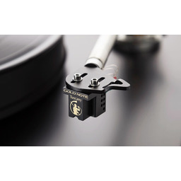 Gold Note Tuscany Gold 