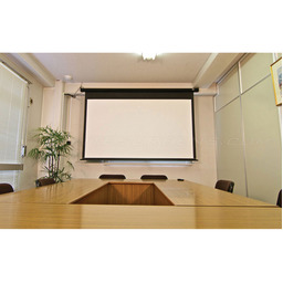 ELITE SCREENS ELECTRIC