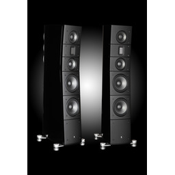 RAIDHO ACOUSTICS TD3.8