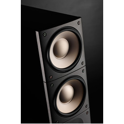 RAIDHO ACOUSTICS X3