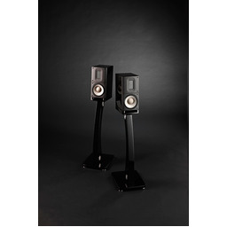 RAIDHO ACOUSTICS XT1 Black 