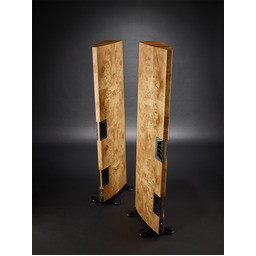 RAIDHO ACOUSTICS XT5 Maple Burl