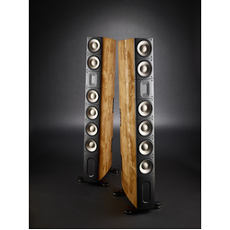 RAIDHO ACOUSTICS XT5 Maple Burl
